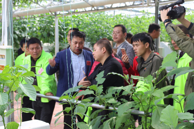 李军老师带领学员参观无土栽培温室，并讲解无土栽培的相关技术