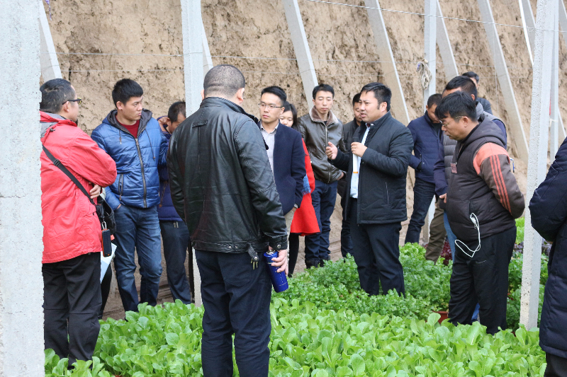 在盆栽蔬菜温室，李军老师给十二期学员讲解盆栽蔬菜技术