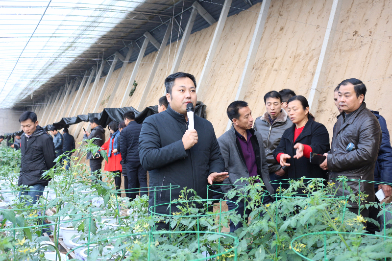 李军老师给十二期学员讲解茄果类盆栽蔬菜的技术