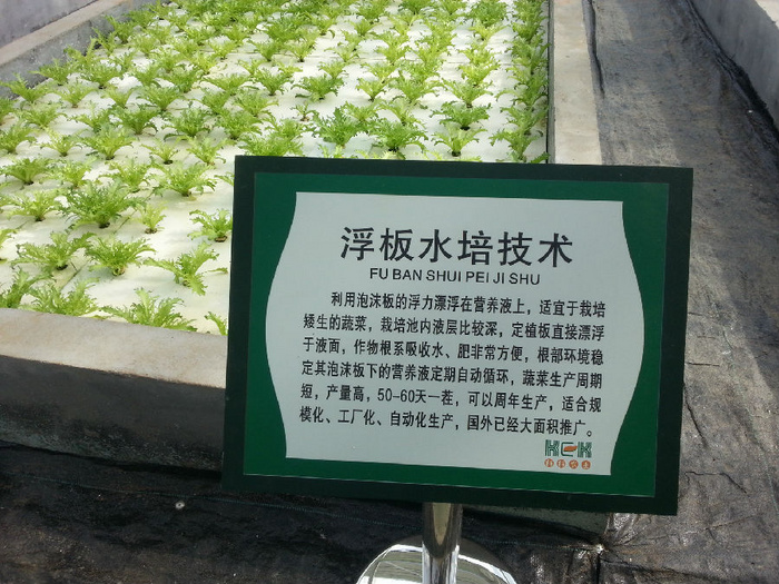 无土栽培浮板水培技术.jpg