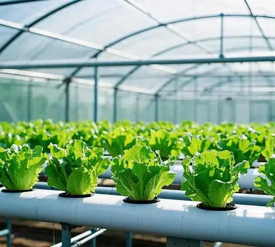 u=109362857,2583041550&fm=253&fmt=auto&app=138&f=JPEG.png u=109362857,2583041550&fm=253&fmt=auto&app=138&f=JPEG.png