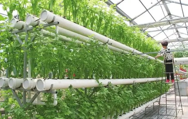 管道水培蔬菜系统制作方法